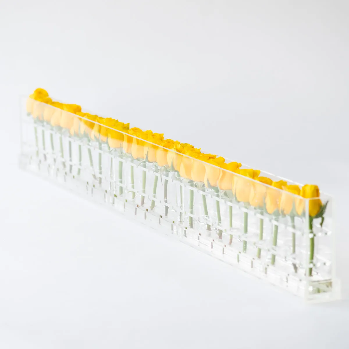 24 Roses Single Row