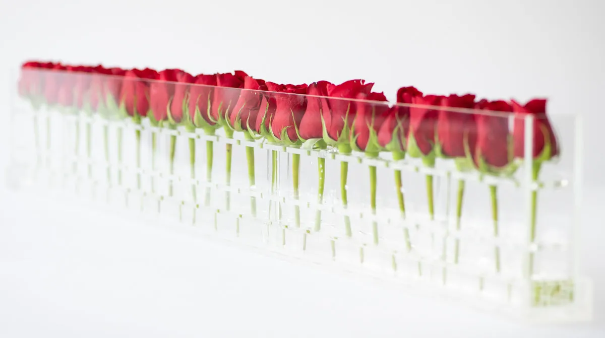 24 Roses Single Row