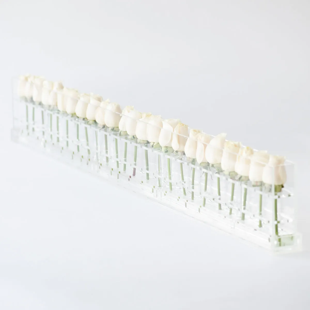 24 Roses Single Row