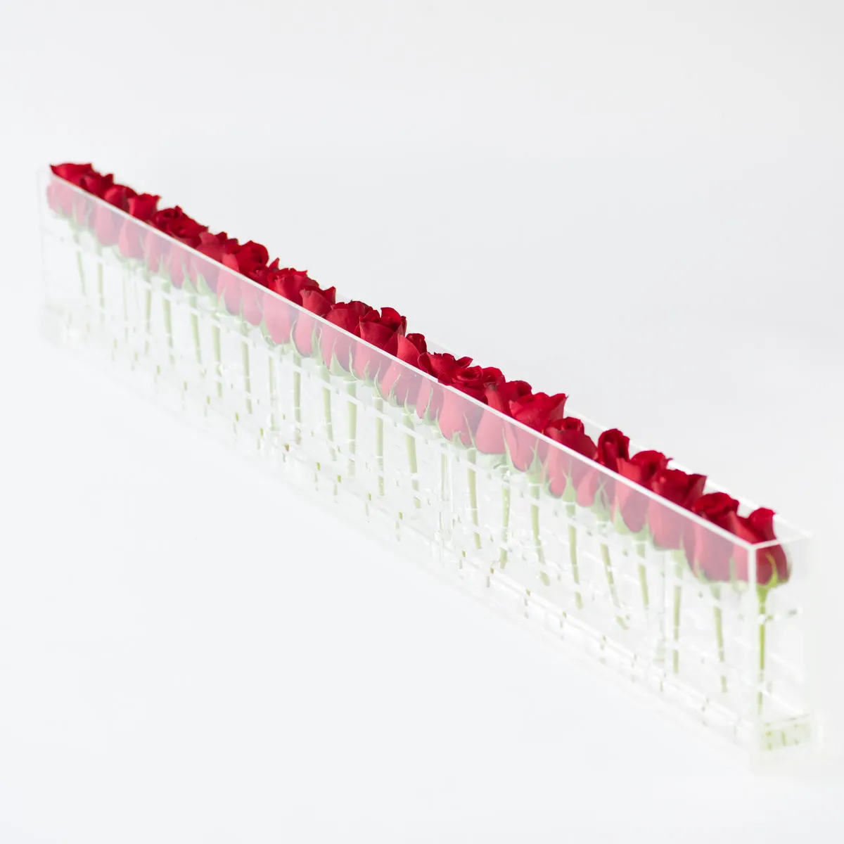 24 Roses Single Row