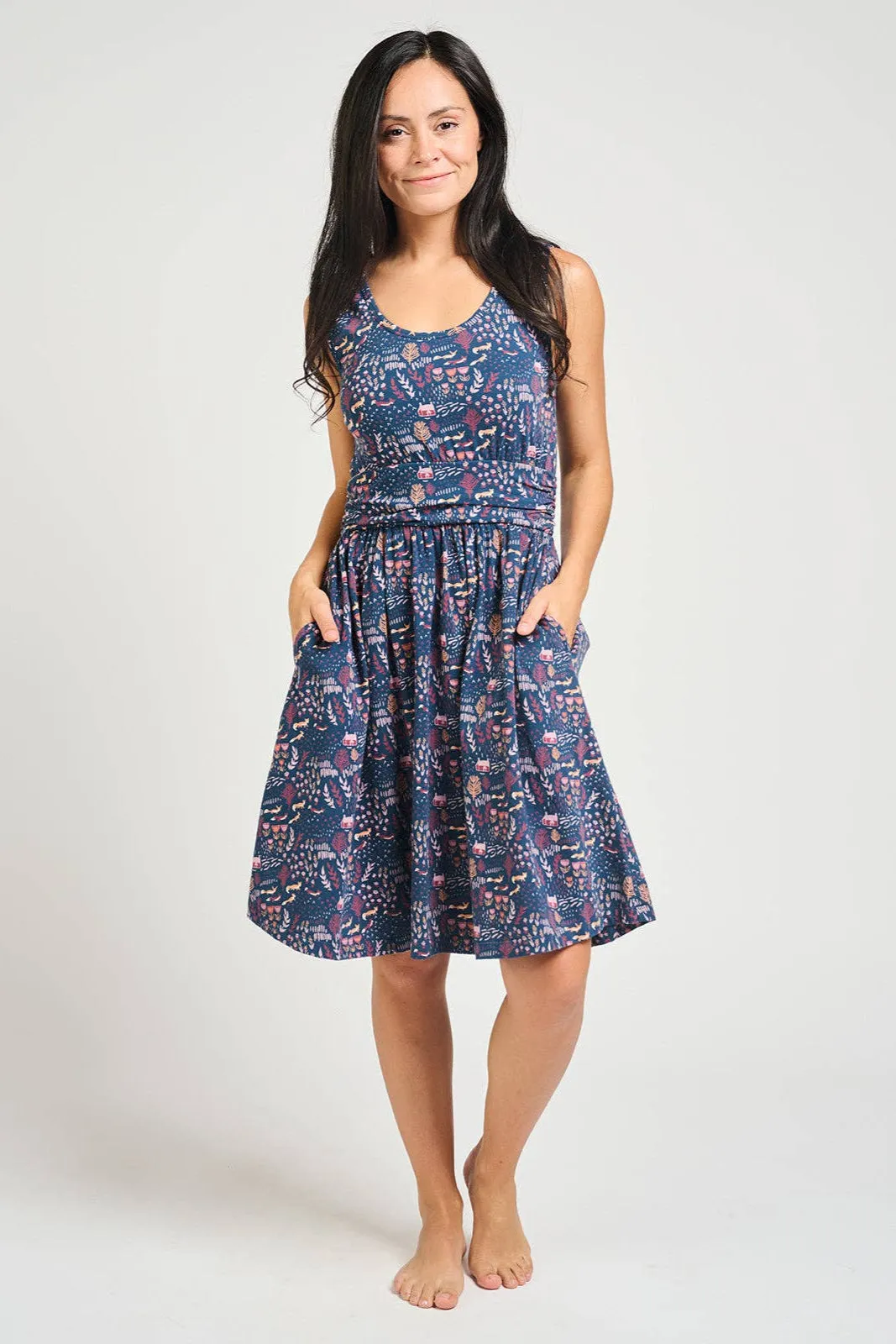 Asheville Dress Fox Field Blue