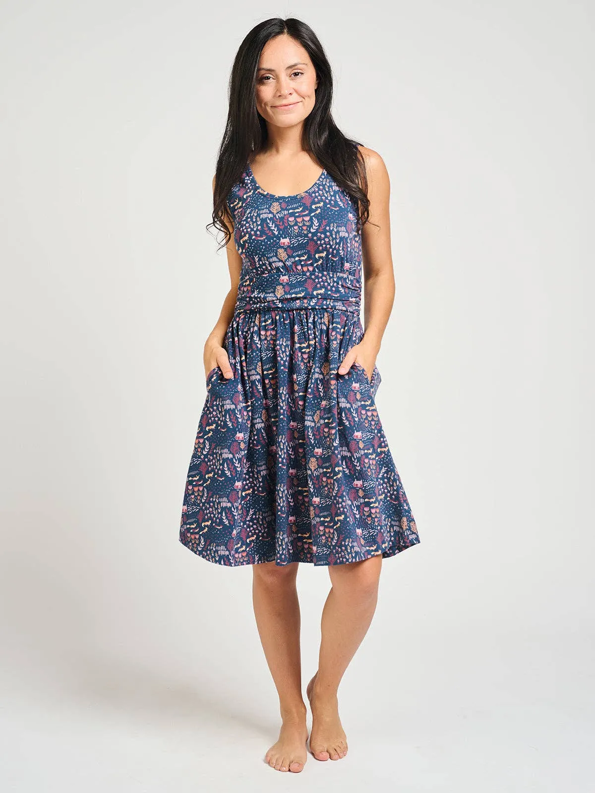 Asheville Dress Fox Field Blue