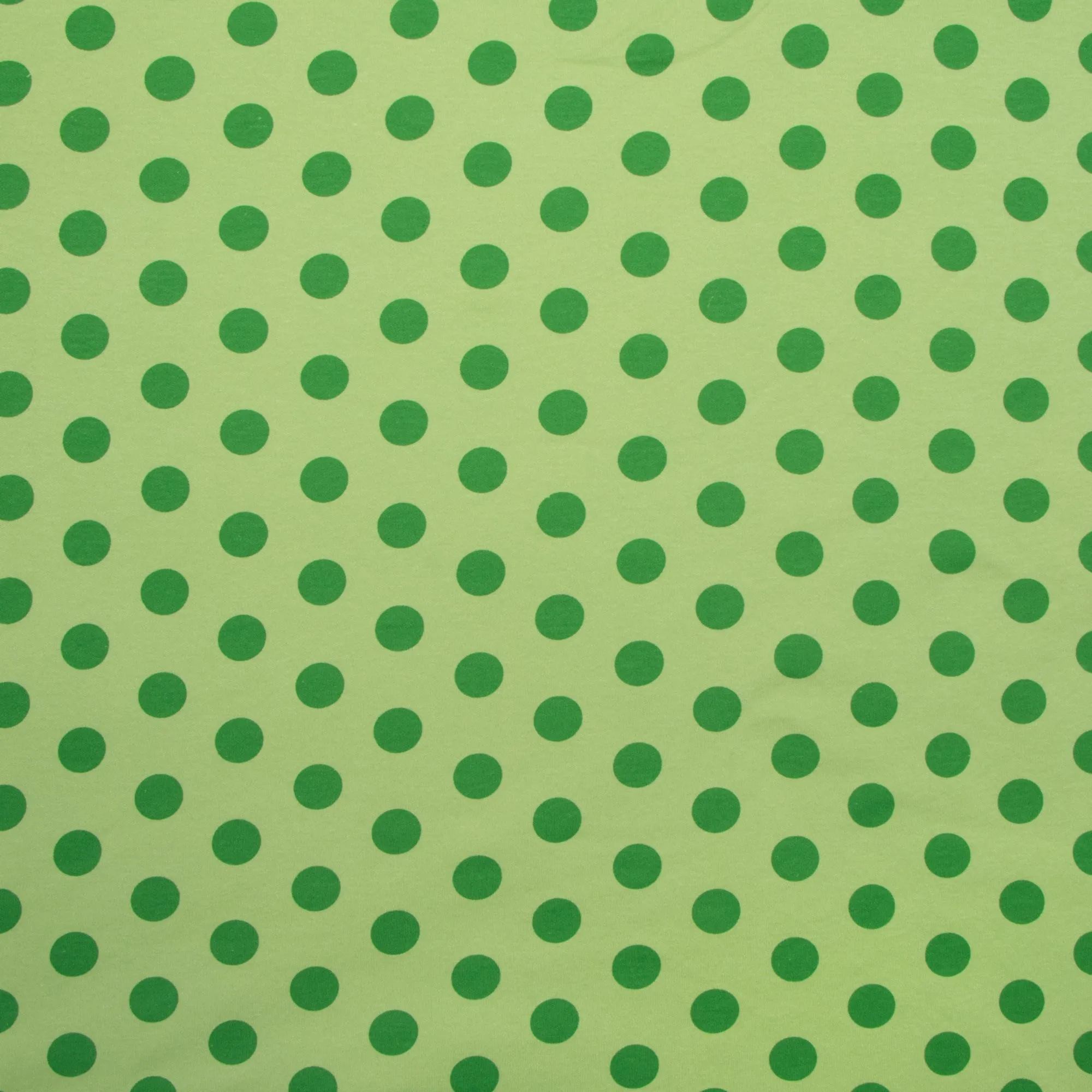 Cotton Knit Dotty Lime