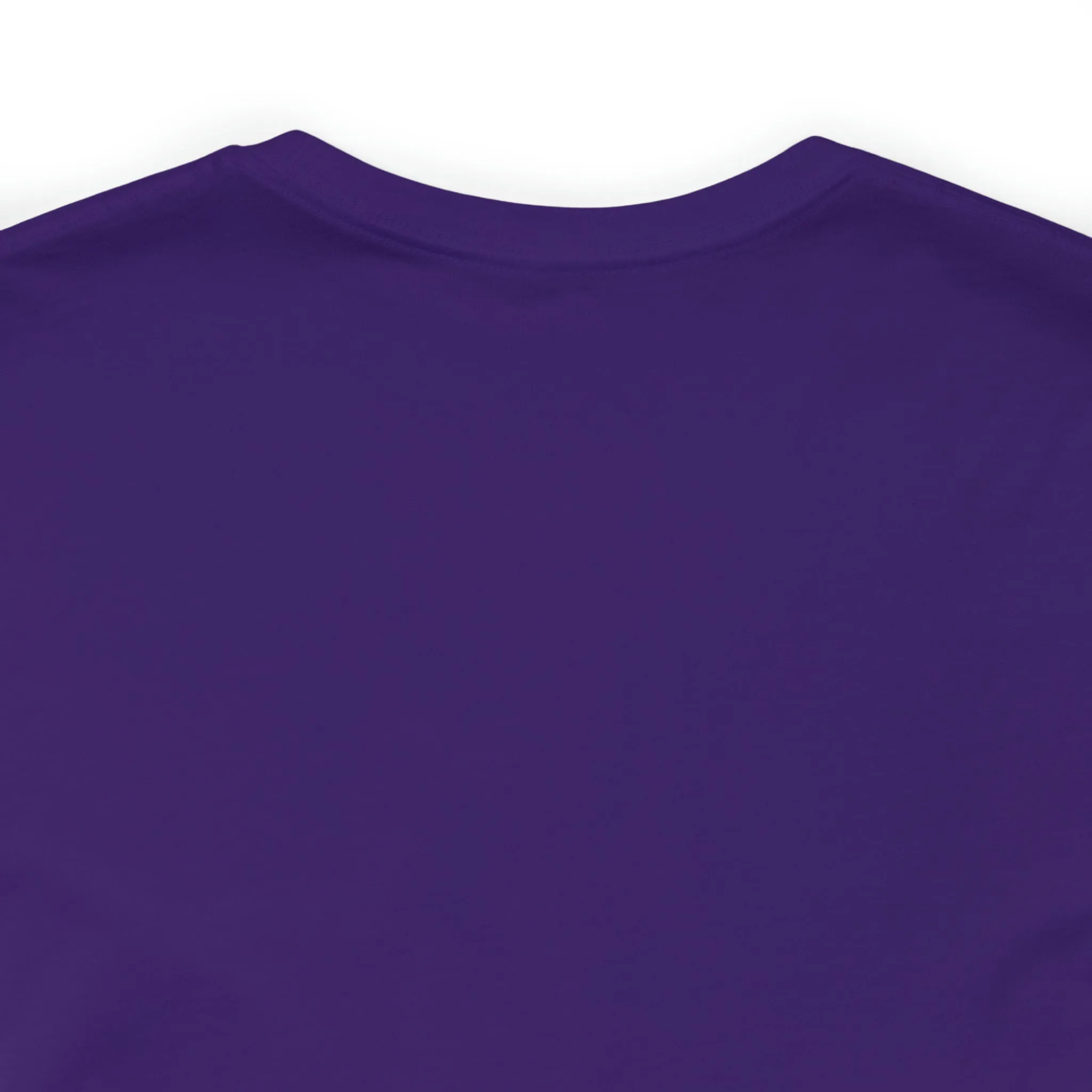 Fall Pumpkin & Leaves T-Shirt | Orange and Purple Fall Tee |  Bella Canvas 3001 Unisex |  Fall Short Sleeve Tshirt