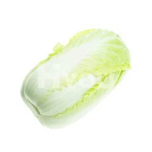 Fresh Chinese Leaf (Pc) ~ 新鮮大白菜 (個)