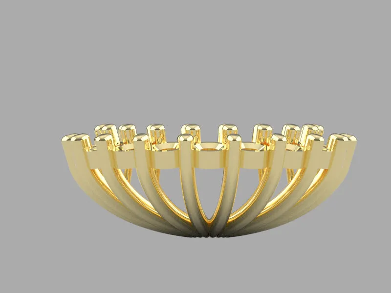 J1010 - 2.0 m Share Prong Pearl Jacket