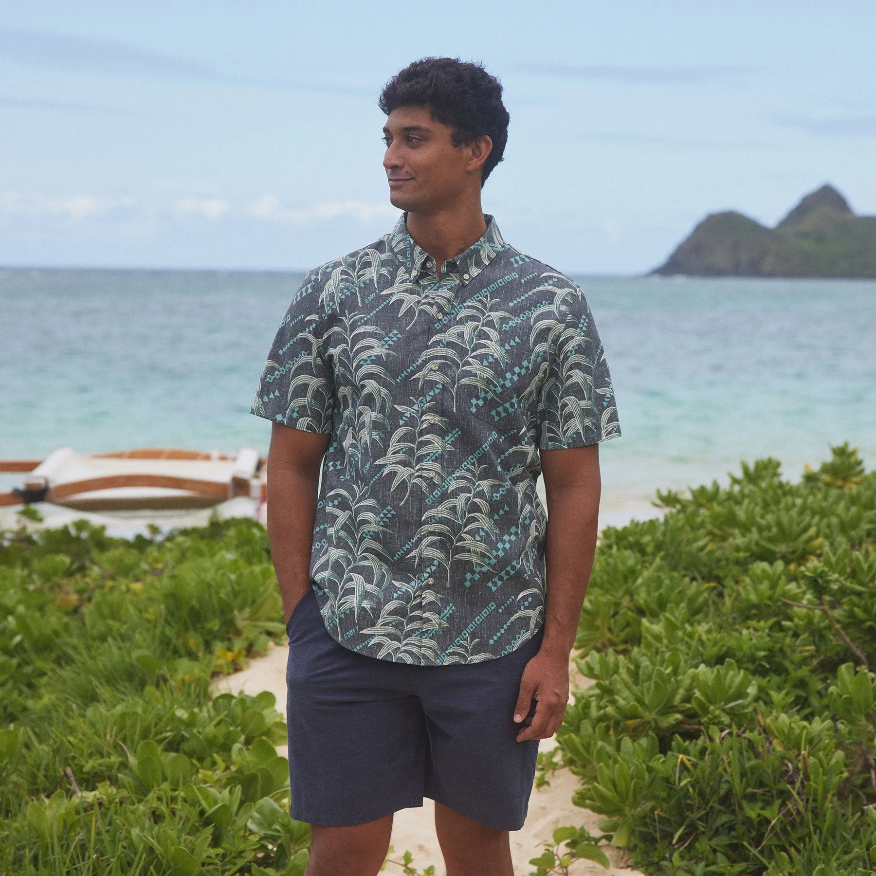 KOA TAPA
