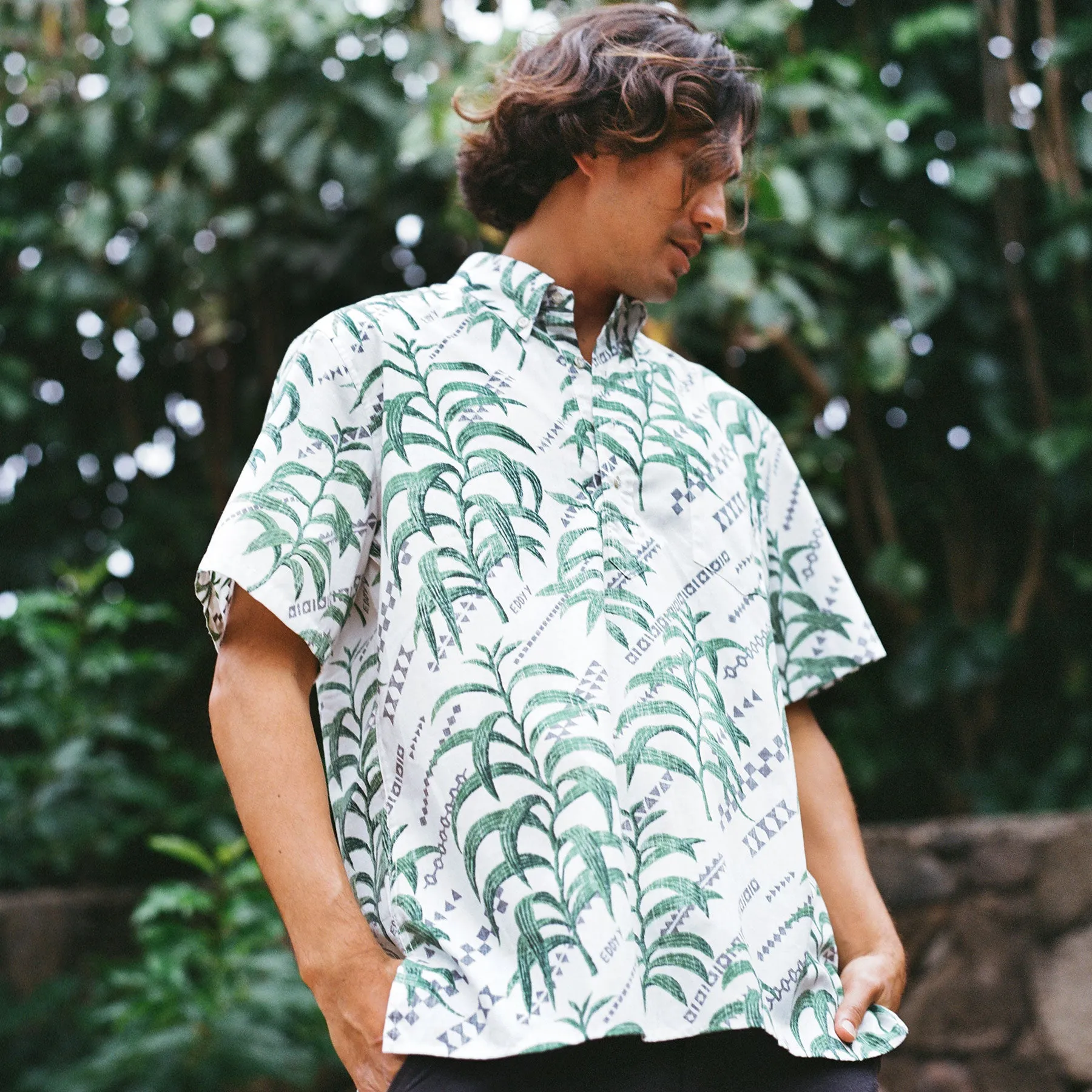 KOA TAPA