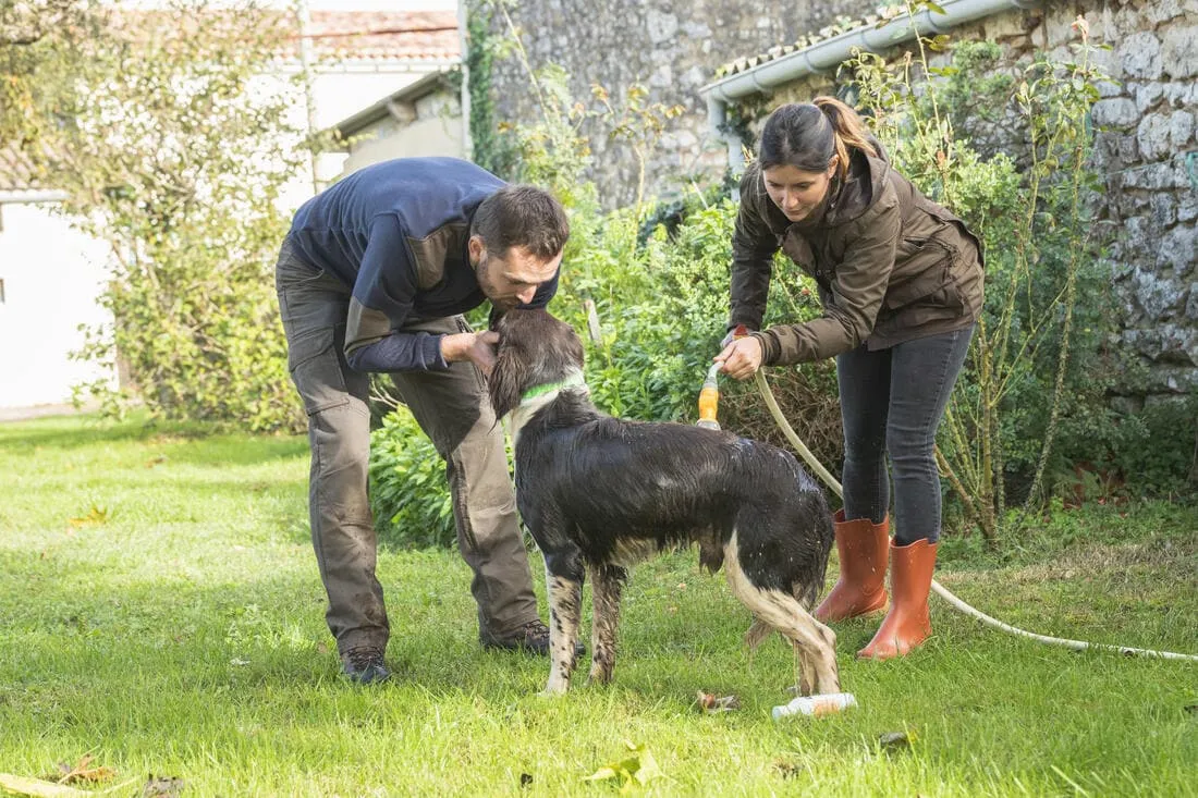 Pantalon chasse résistant et confortable Homme - 520