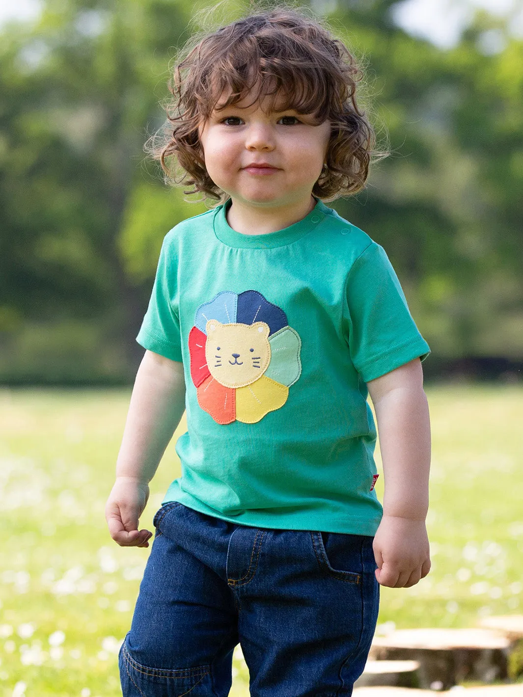 Rainbow lion t-shirt