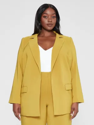 Zoe Asymmetrical Split Back Blazer - Gabi Fresh X FTF